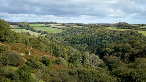 Looking over over a valley with rolling hills in the back ground and trees lining the valley